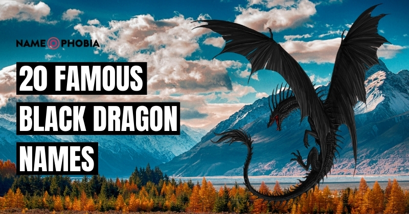 Black Dragon Names