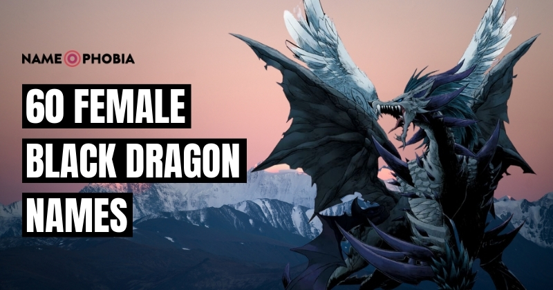 Black Dragon Names