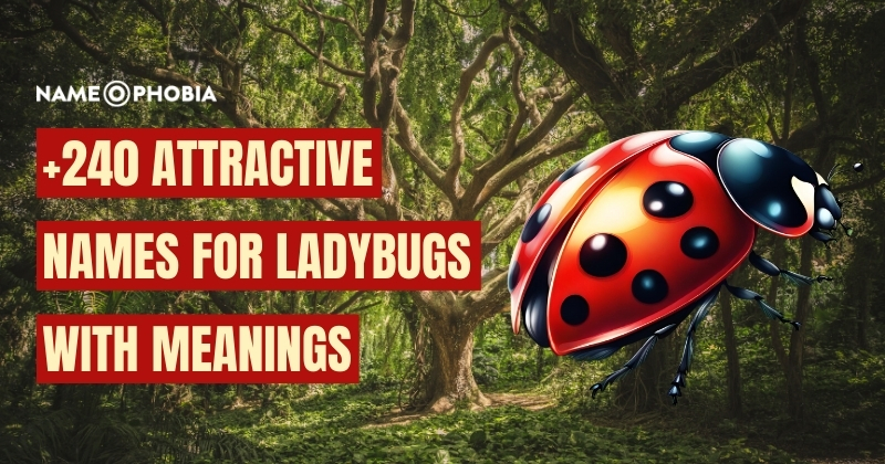 Names For Ladybugs