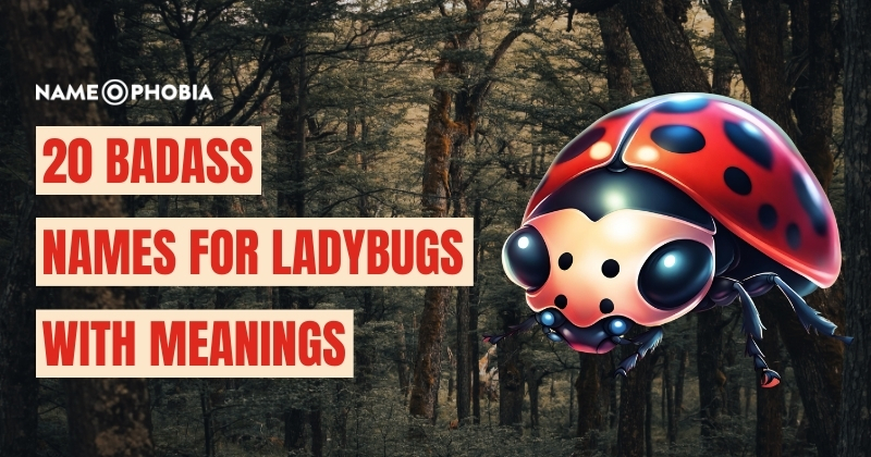 Names For Ladybugs