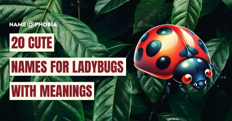 Names For Ladybugs