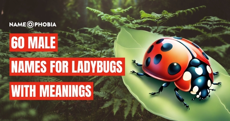 Names For Ladybugs