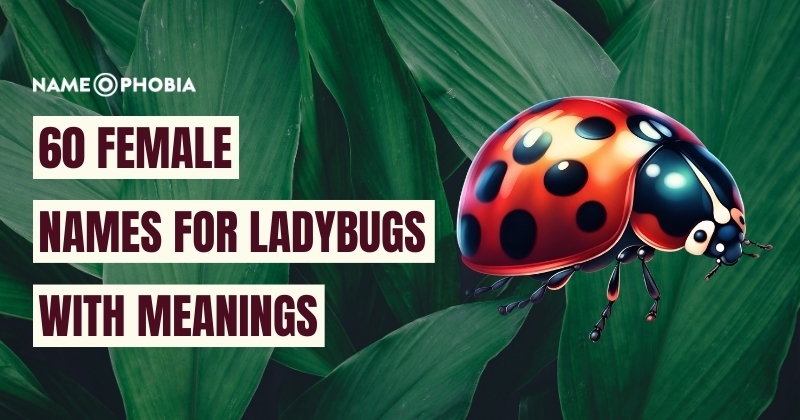 Names For Ladybugs