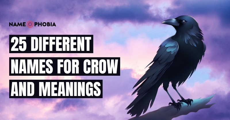 Names for Crow