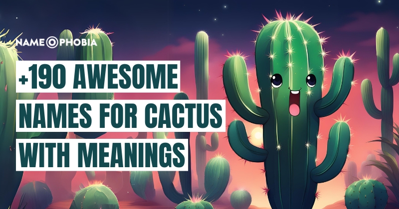 Names For Cactus