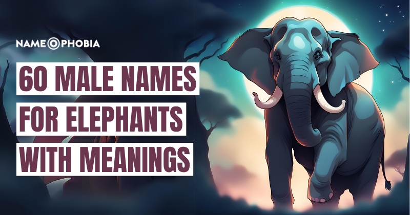 Names For Elephants