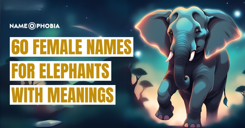 Names For Elephants