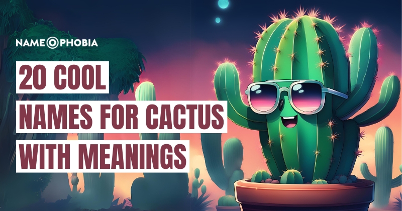 Names For Cactus