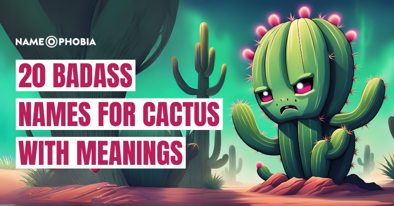 Names For Cactus