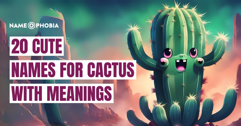 Names For Cactus