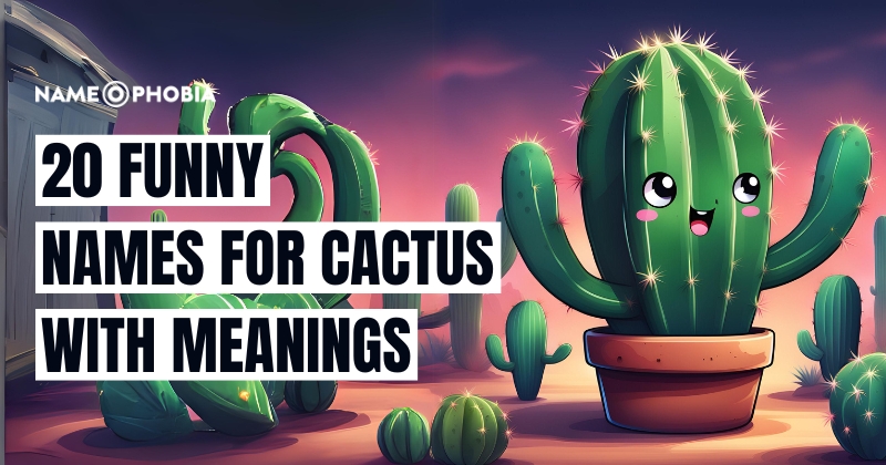 Names For Cactus