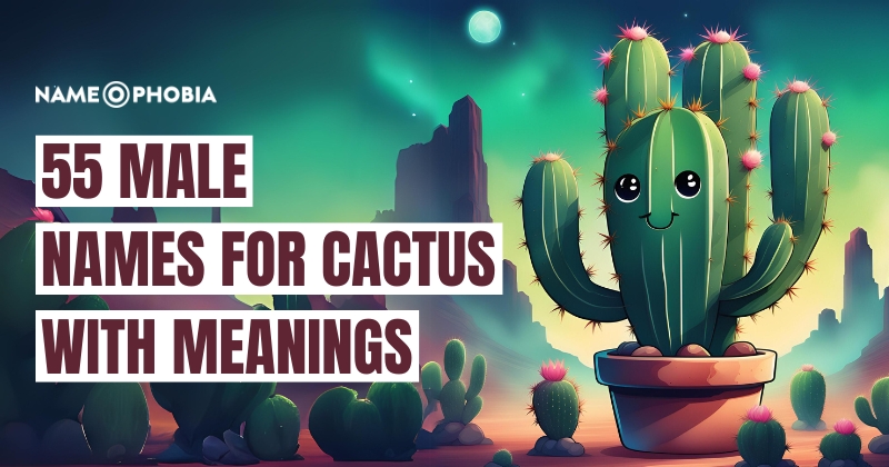 Names For Cactus