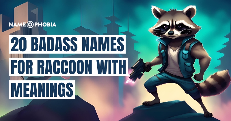 Names for Raccoon