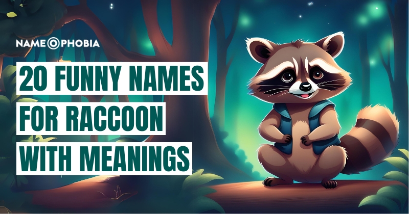 Names for Raccoon