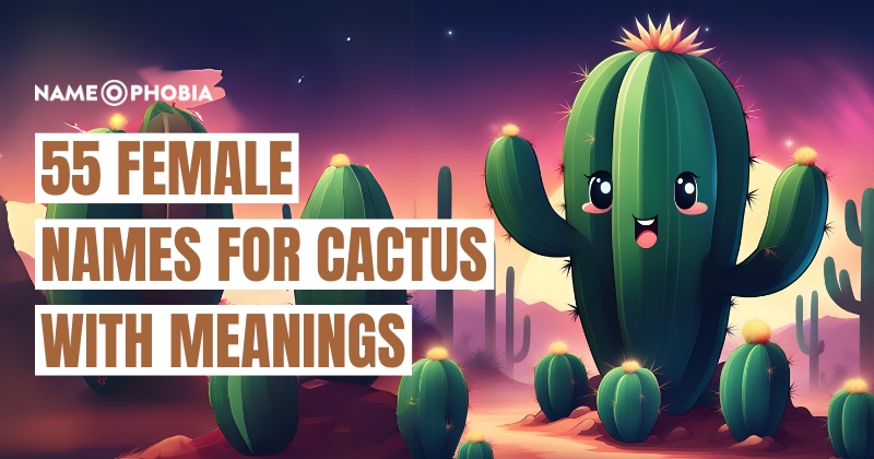 Names For Cactus