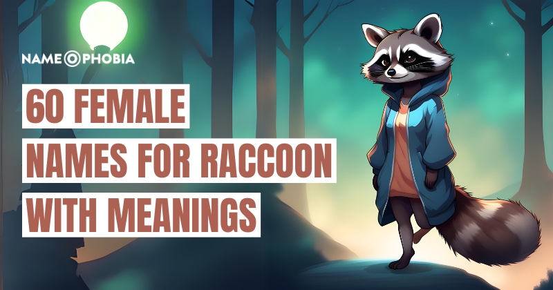 Names for Raccoon