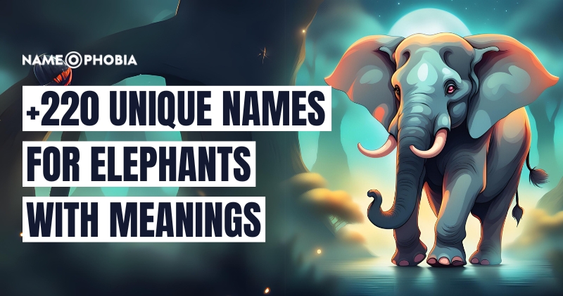 Names For Elephants