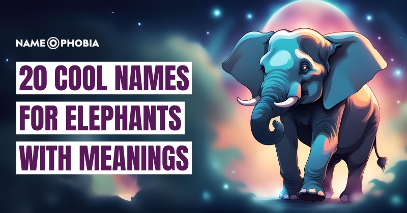 Names For Elephants