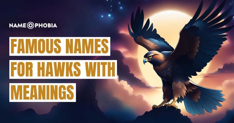 Names for Hawks