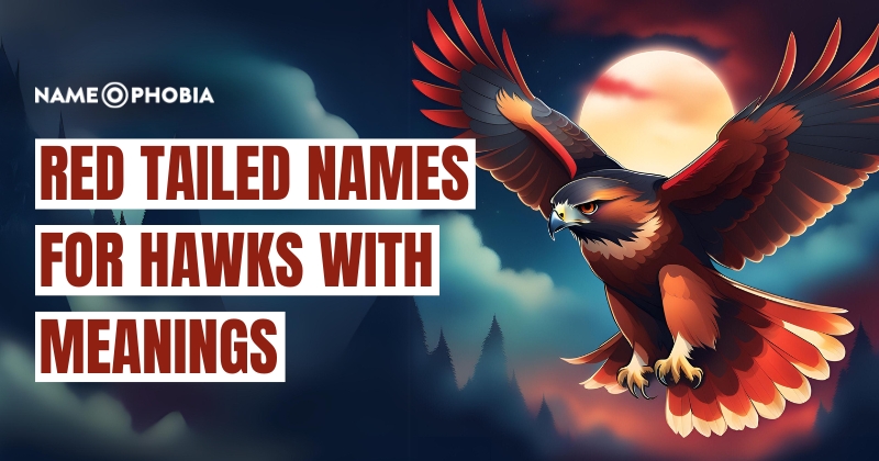 Names for Hawks