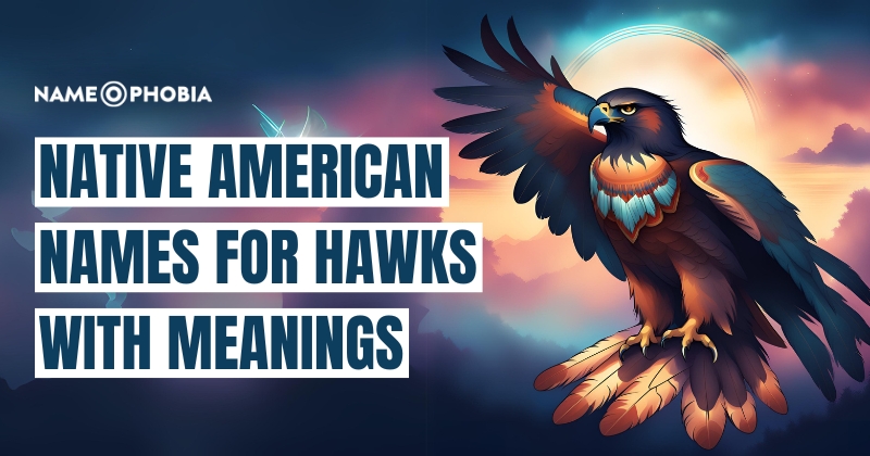 Names for Hawks