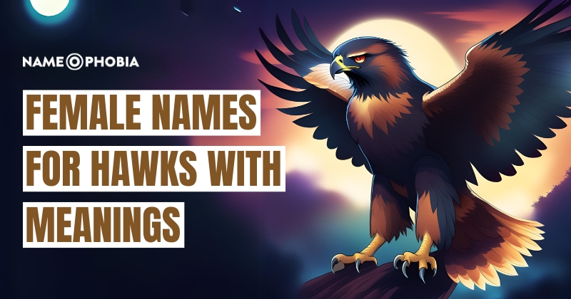 Names for Hawks