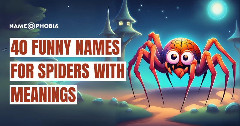 names for spiders