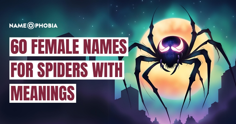 names for spiders