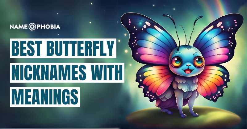 Best Butterfly Nicknames with Meanings