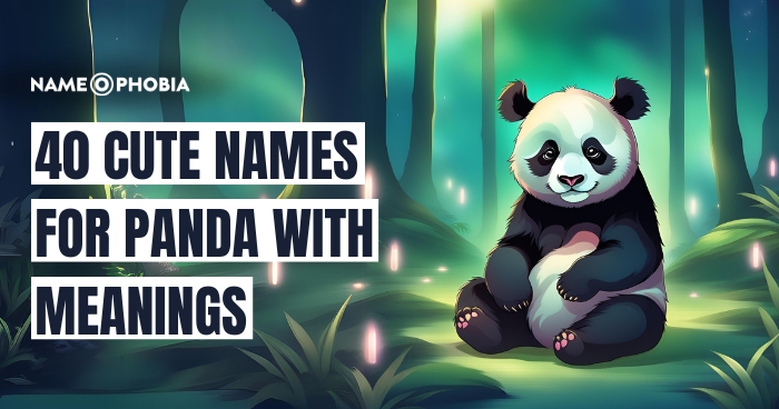 Top 150+ Amazing Names For Panda With Meanings