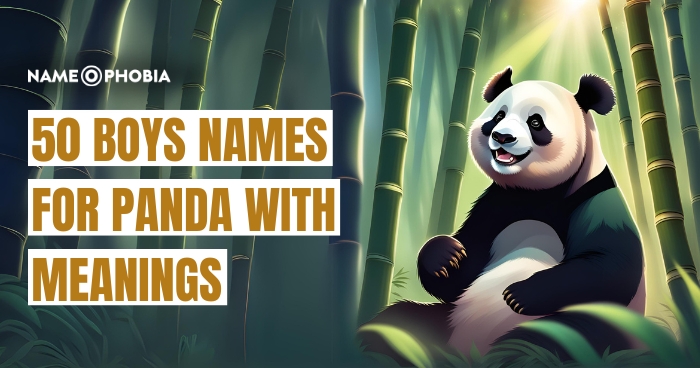 Top 150+ Amazing Names For Panda With Meanings