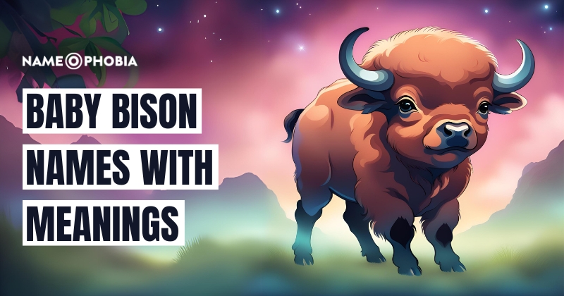 Baby Bison Names With Meanings