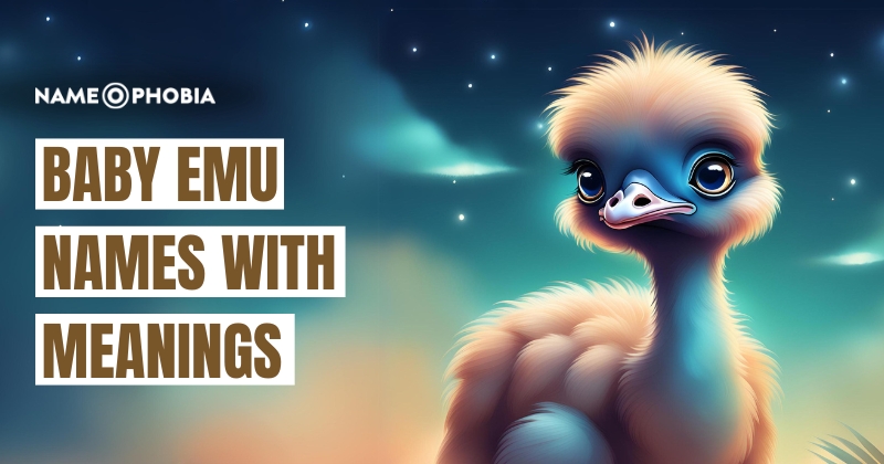 Baby Emu Names With Meanings