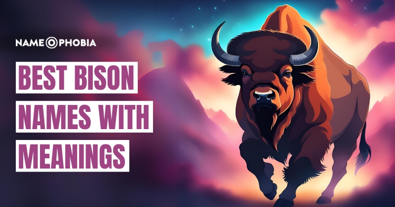 Best Bison Names With Meanings