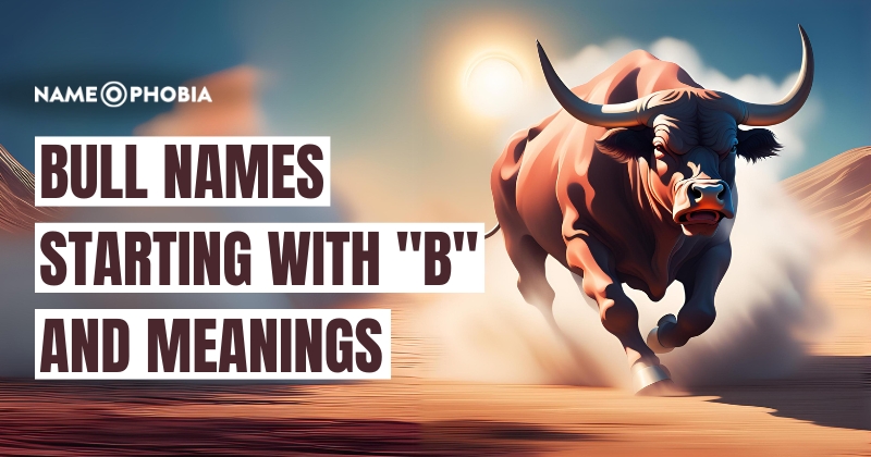 Bull Names Starting With "B" And Meanings