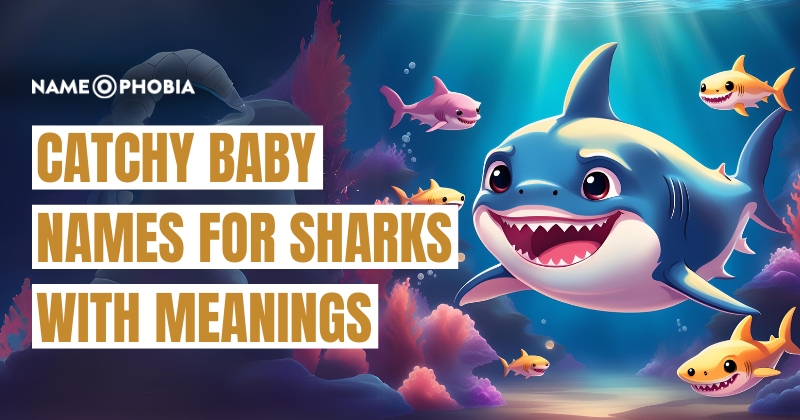 Catchy Baby Names For Sharks With Meanings