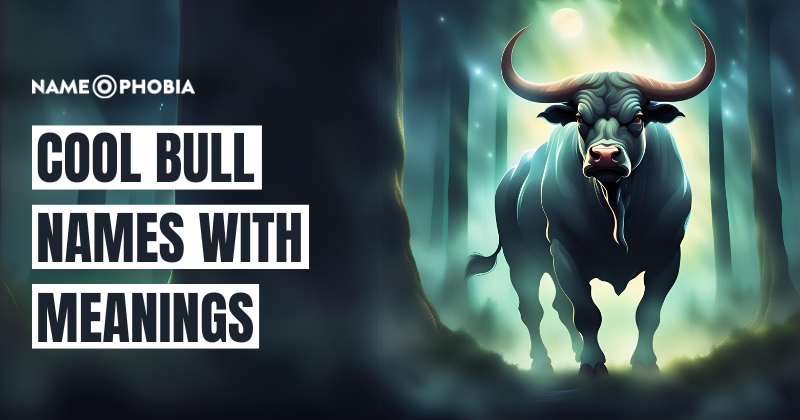 Cool Bull Names With Meanings