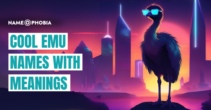 Cool Emu Names With Meanings