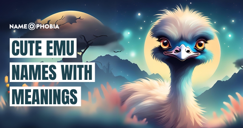 Cute Emu Names With Meanings