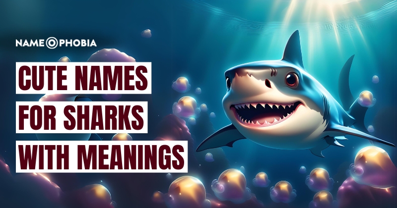 Cute Names For Sharks With Meanings