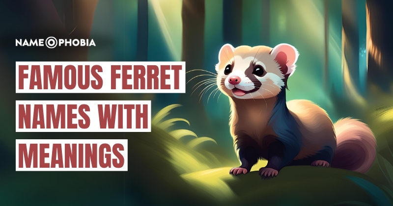 Famous Ferret Names With Meanings