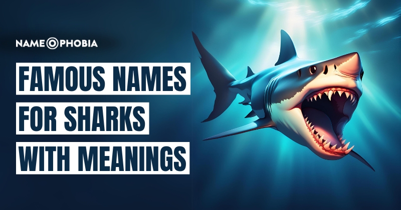 Famous Names For Sharks With Meanings