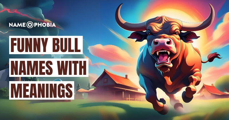 Funny Bull Names With Meanings