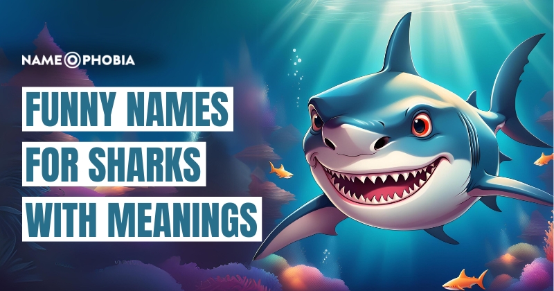 Funny Names For Sharks With Meanings