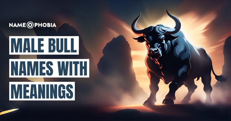 Male Bull Names With Meanings