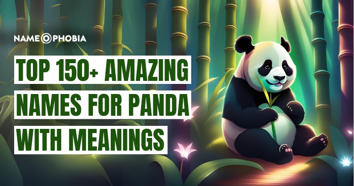 Top 150+ Amazing Names For Panda With Meanings