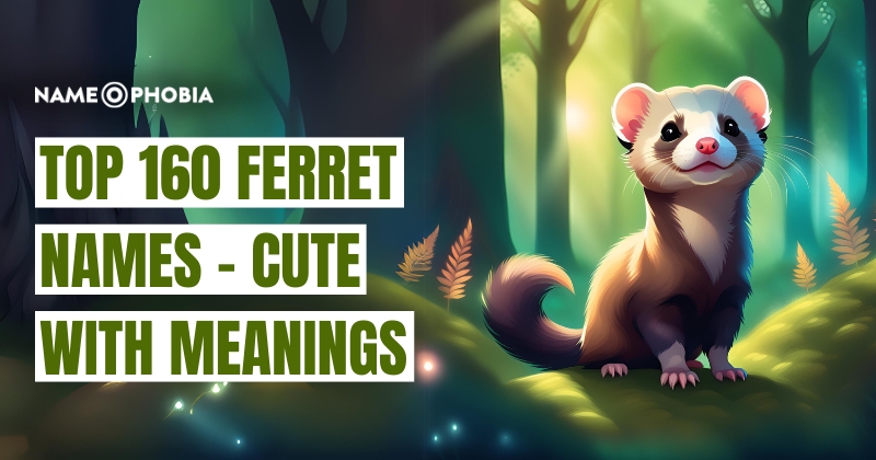 Top 160 Ferret Names - Cute With Meanings