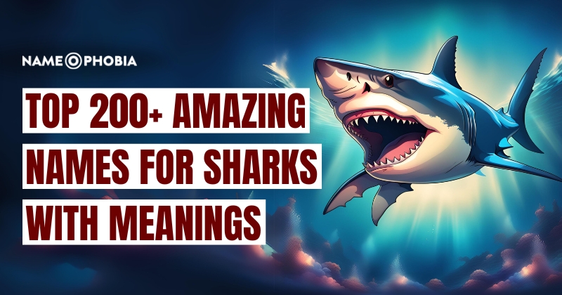 Top 250+ Amazing Names For Sharks With Meanings