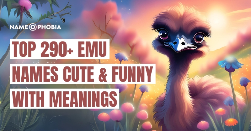 Top 290+ Emu Names Cute & Funny With Meanings