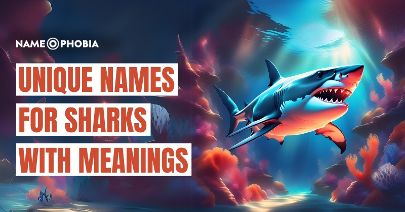 Unique Names For Sharks With Meanings